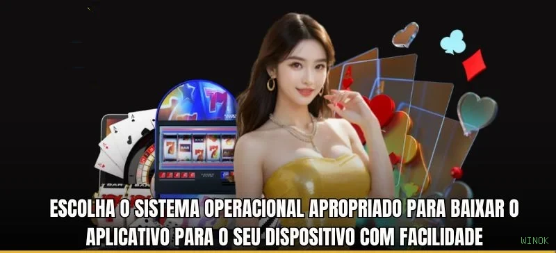 Experiência VIP WINOK